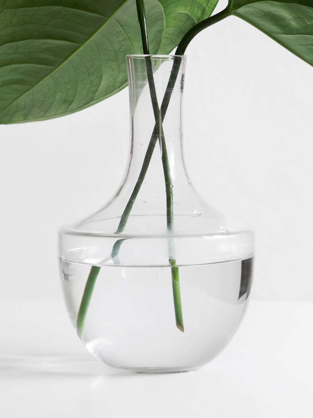 Glass vase - Imagen 2