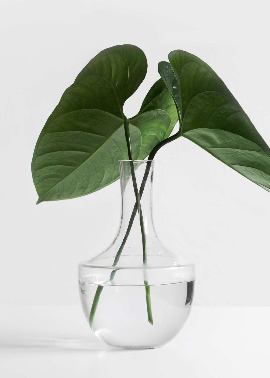 Glass vase